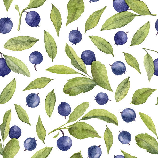 水彩蓝莓模式图片下载