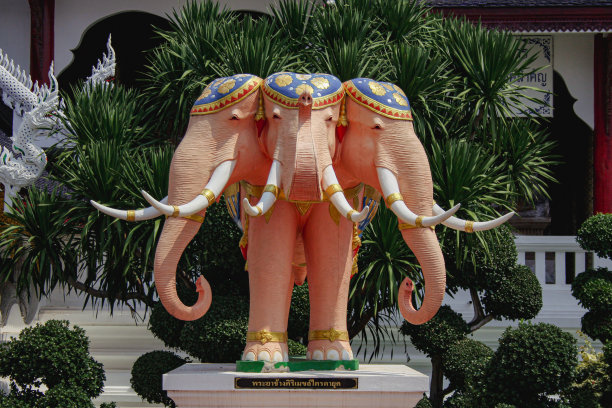 三头大象图片下载