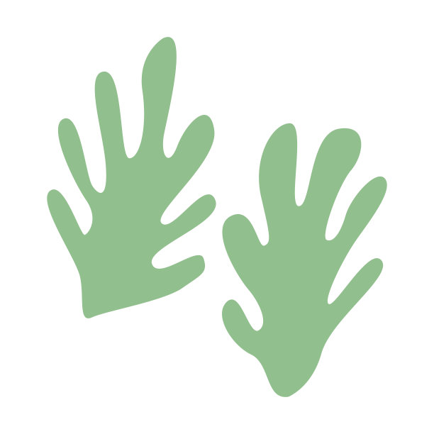 一组抽象的热带叶在孤立的背景上图片下载