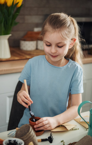 小女孩坐在家里的桌子旁，把种子播种到花盆里。图片下载