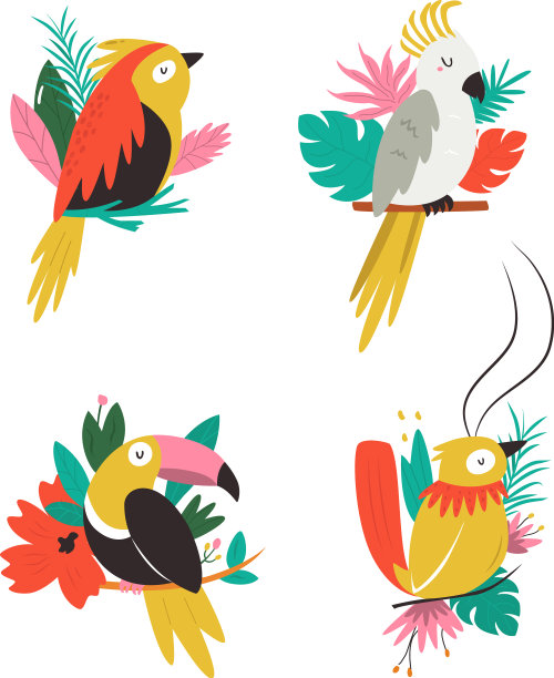 一组色彩斑斓的热带鸟类图片下载