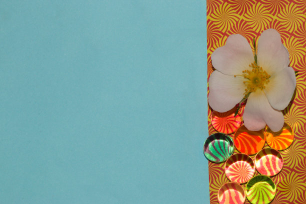 橙色的彩色壁纸，透明的珠子反射颜色和白色的花头，创意的夏季设计，充满活力的颜色和柔和的蓝色背景作为复制空间图片下载