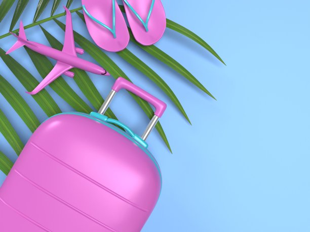 行李拖鞋和棕榈叶在蓝色背景飞机图片下载