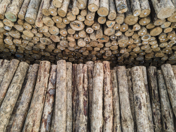 堆积木图片下载