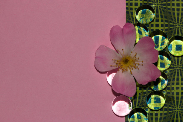 绿色旧的未来主义壁纸与透明玻璃珠和玫瑰花头，创造性的夏季设计与粉红色的拷贝空间背景图片下载