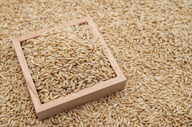 燕麦堆的背景和一个装有燕麦的木碗图片下载