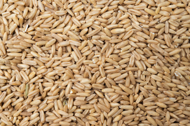 燕麦顶视图背景。粮食的背景。图片下载