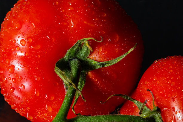 照片上的西红柿与水滴在黑色的背景图片下载