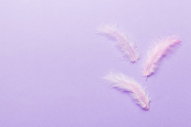 彩色背景，顶部视图。本空间图片下载