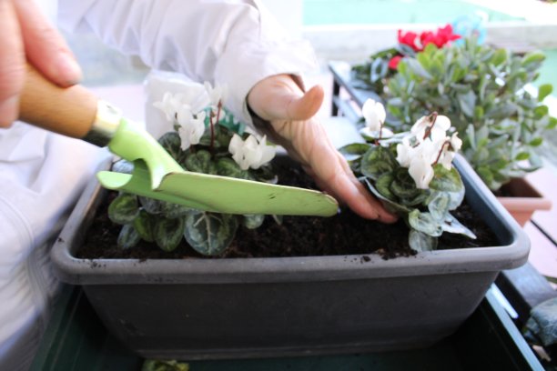 端着一碗食物的人图片下载