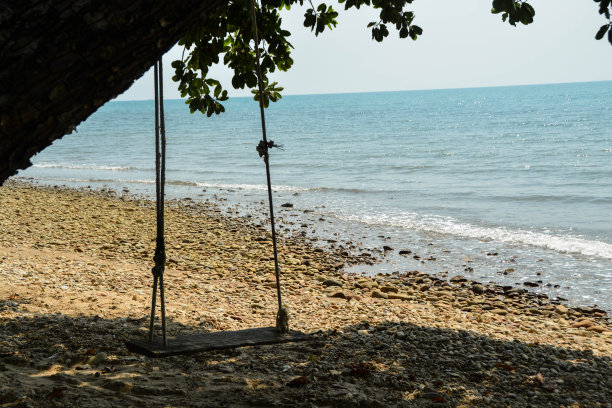 木秋千绑在岩石海滩上的一棵大树上。图片下载