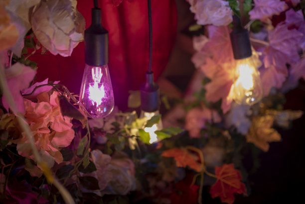 豪华照明装饰与人造植物在派对股票照片图片下载