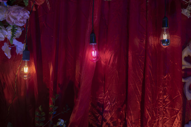 人工植物和彩色布料的灯光装饰理念图片下载