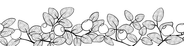 蓝莓分支边界。手工制作的无缝矢量插图图片下载