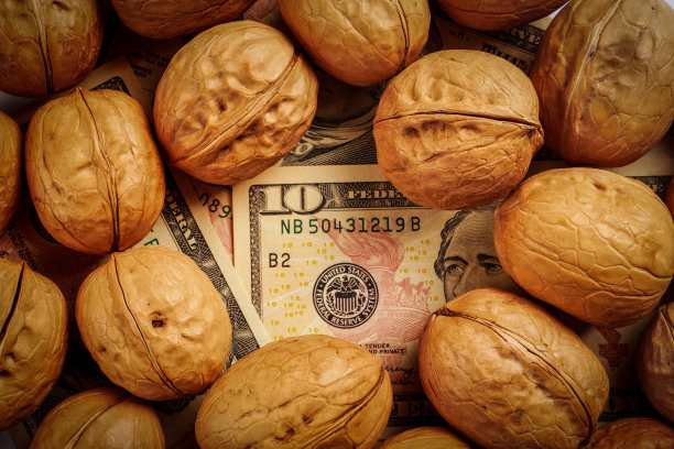 散在核桃下的美元钞票图片下载