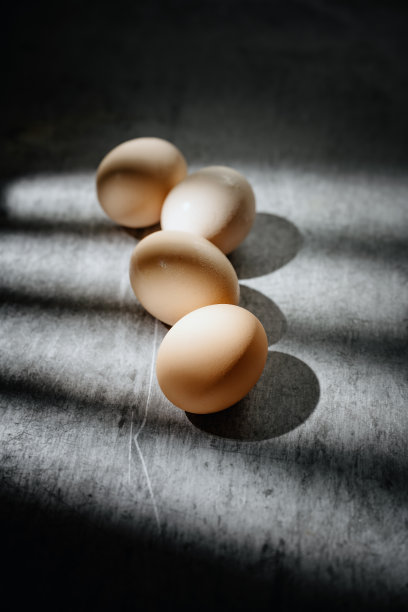 太阳照在蛋上图片下载