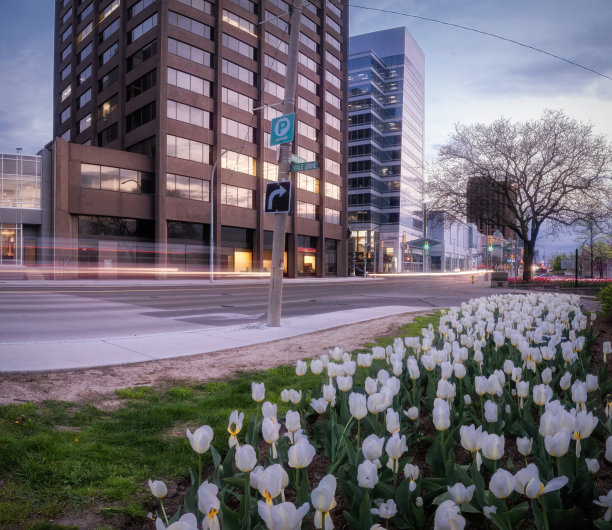 温莎，安大略天际线-春天图片下载