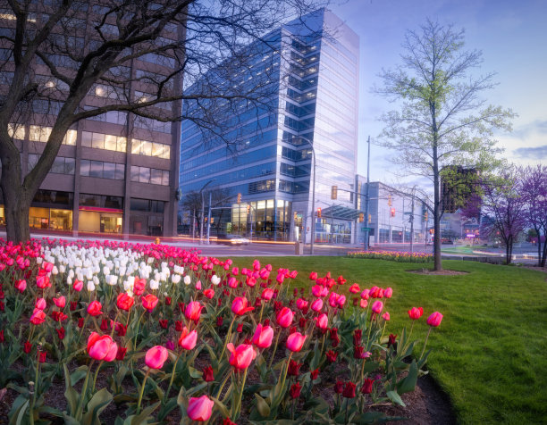 温莎，安大略天际线-春天图片下载