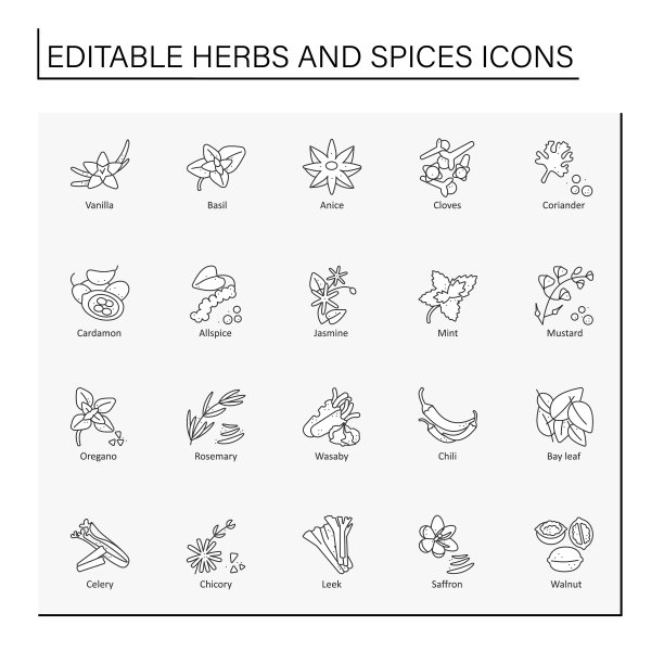 香草和香料线条图标集图片下载