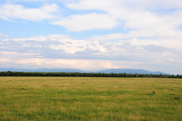夏天多云的天空下，一望无际的平原草原和高山脚下的森林。图片下载