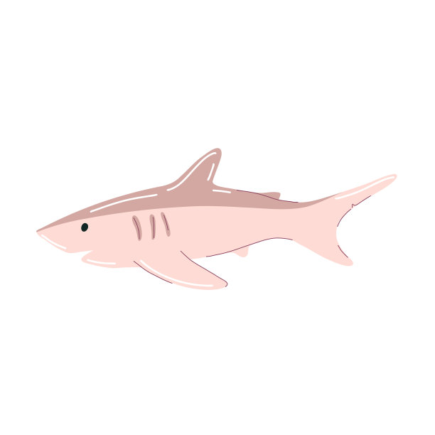 鲨鱼。可爱的手绘鲨鱼角色。孩子们的海洋鱼。矢量插图在白色背景。图片下载