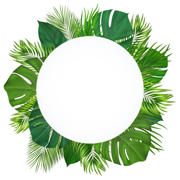 夏季热带背景与绿色棕榈叶。异国植物设计与丛林植物邀请，横幅，海报。矢量图图片下载