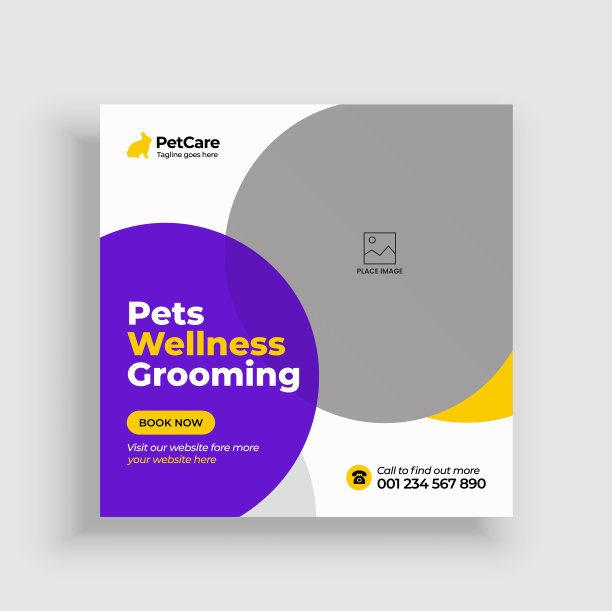 宠物护理社交媒体帖子或网页横幅模板图片下载