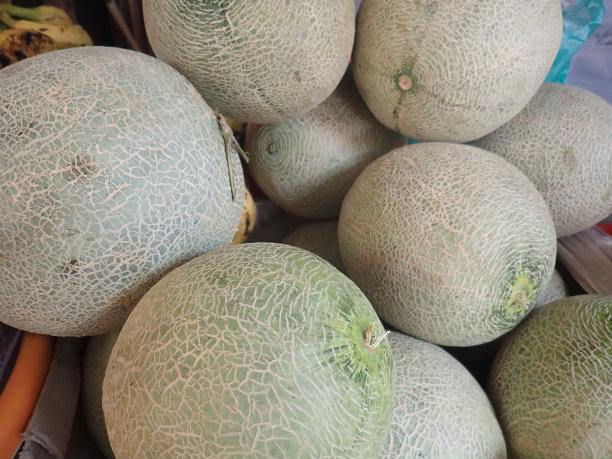 水果市场上的新鲜冰瓜图片下载