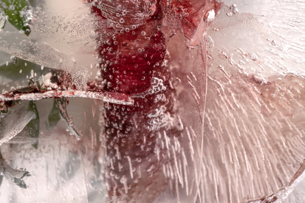 透明的白冰里结着花。图片下载