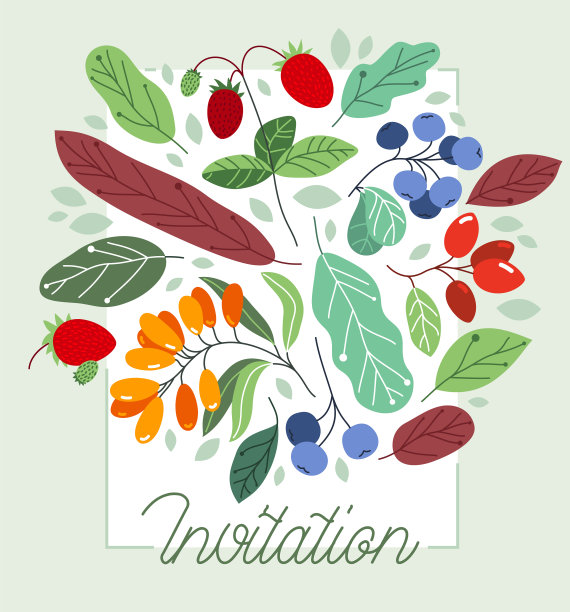 成熟的野生浆果和新鲜的贺卡图片下载