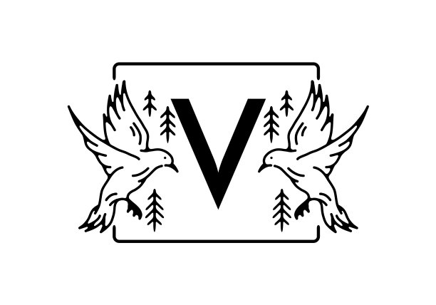 黑色鸟线艺术与v首字母图片下载