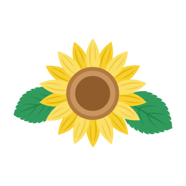 向日葵和叶子的插图图片下载