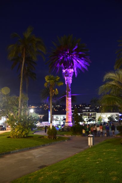 的夜晚。这是一张长曝光照片，摄于Otavalo小镇的城市公园图片下载