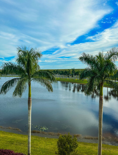 佛罗里达的海滩和城市图片下载