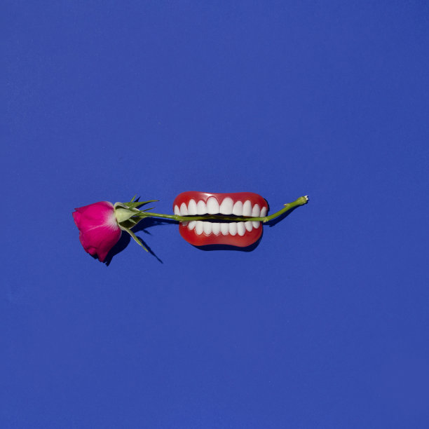 情人节创意布局与玫瑰花假牙在大胆的海军蓝背景。80、90年代复古时尚审美爱情理念。最小的浪漫想法。图片下载