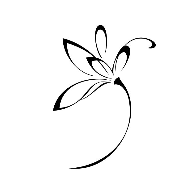 盛开的花202图片下载