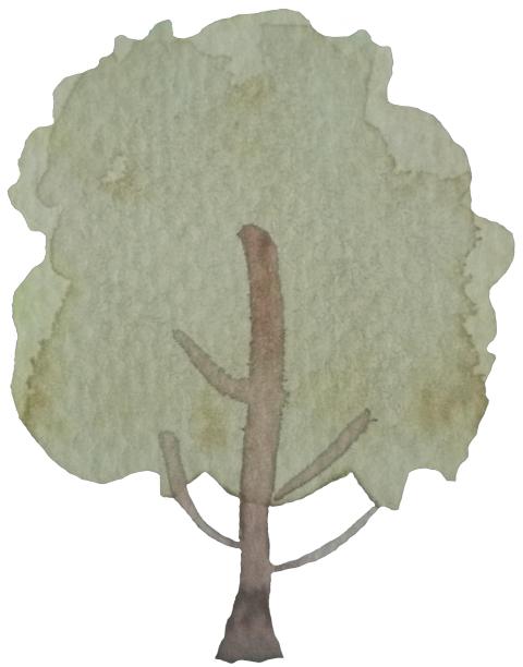 水彩树孤立在白色。树植物笔触水彩手绘粗糙纹理纸;设计应用程序，横幅，包装，网站，社交媒体，封面插图图片下载