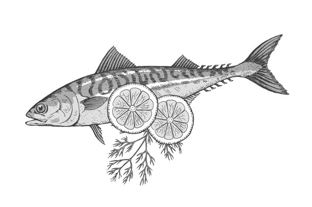 海鱼，白色背景上有柠檬的鲭鱼图片下载