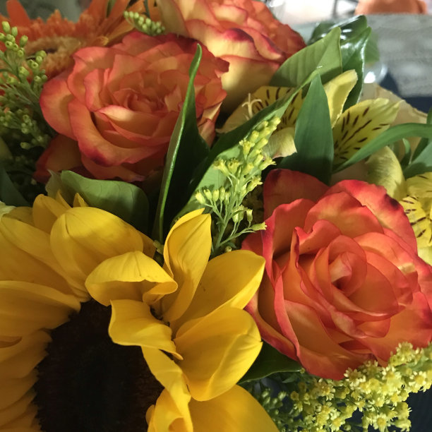 束鲜花图片下载