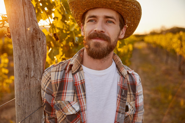 有胡须的农民靠近葡萄藤图片下载