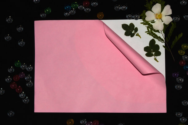 粉红色的纸展开在它下面白色的纸上一片绿叶和白色的花头上黑色的背景创意艺术自然设计图片下载