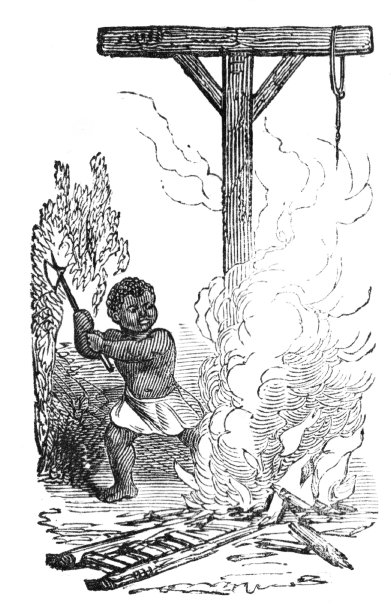 非洲人制造篝火，19世纪的非洲图片下载