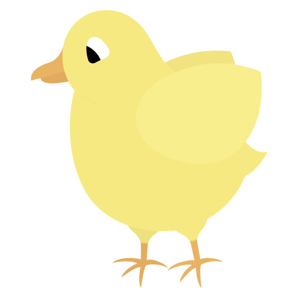 小鸡。彩色矢量插图。黄色的鸟拍打着翅膀。婴儿鸡。可爱的小鸡。孤立的背景。Flatstyle。节日的打印。网页设计，邀请函，明信片。明亮的复活节。图片下载