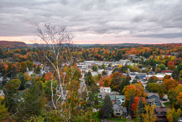 购物中心被落叶林包围，日落时天空多云图片下载