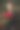 浪漫的男子在黑色衬衫与红玫瑰花束图片下载