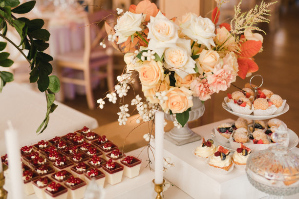 婚宴上的糖果棒配上美味的甜点和开胃菜。图片下载