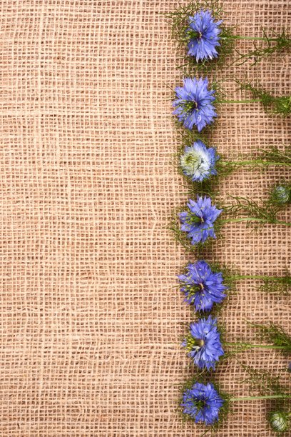 框架由小蓝色孜然花在织物背景图片下载