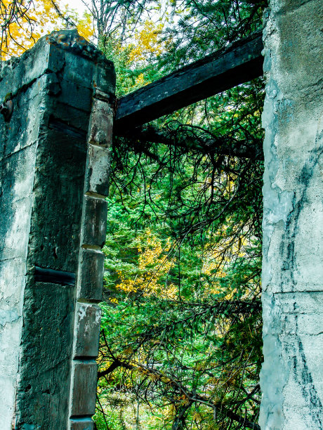 从不同角度看奥克兰城。奥克兰,新西兰图片下载