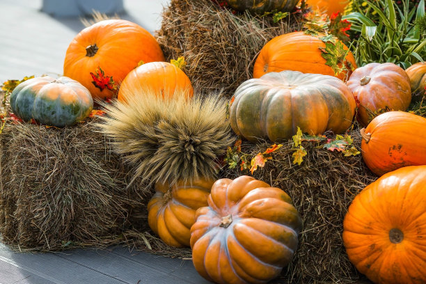 莫斯科金秋节的装饰南瓜，靠近克里姆林宫的红色广场。万圣节装饰用各种南瓜，秋季蔬菜和鲜花。收获和花园装饰。图片下载