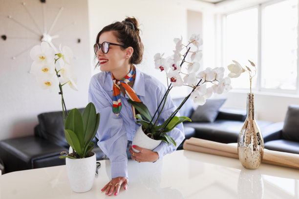 家庭主妇照料着家里的花草，五颜六色的蝴蝶兰。照顾家庭植物的女人。捧着白花的园丁图片下载